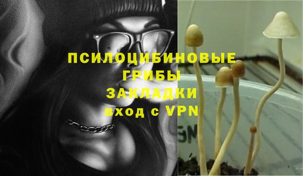дмт Михайловск
