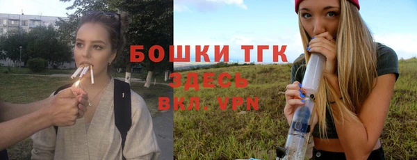 дмт Михайловск