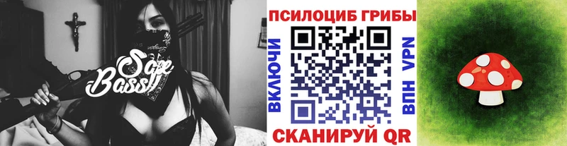 Купить где  Пучеж  Галлюциногенные грибы MAGIC MUSHROOMS 